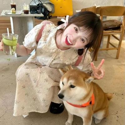 忍者收藏